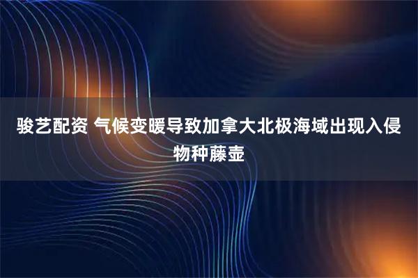 骏艺配资 气候变暖导致加拿大北极海域出现入侵物种藤壶