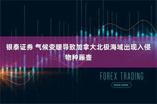 银泰证券 气候变暖导致加拿大北极海域出现入侵物种藤壶