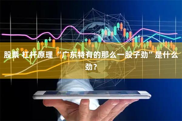 股票 杠杆原理 “广东特有的那么一股子劲”是什么劲？