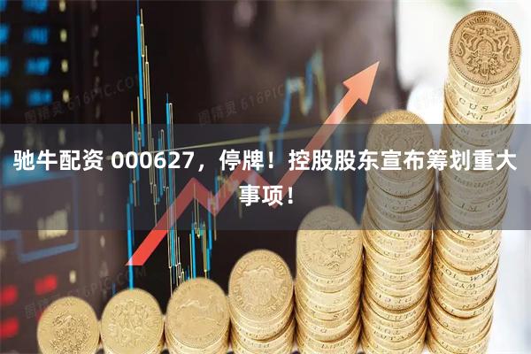 驰牛配资 000627，停牌！控股股东宣布筹划重大事项！